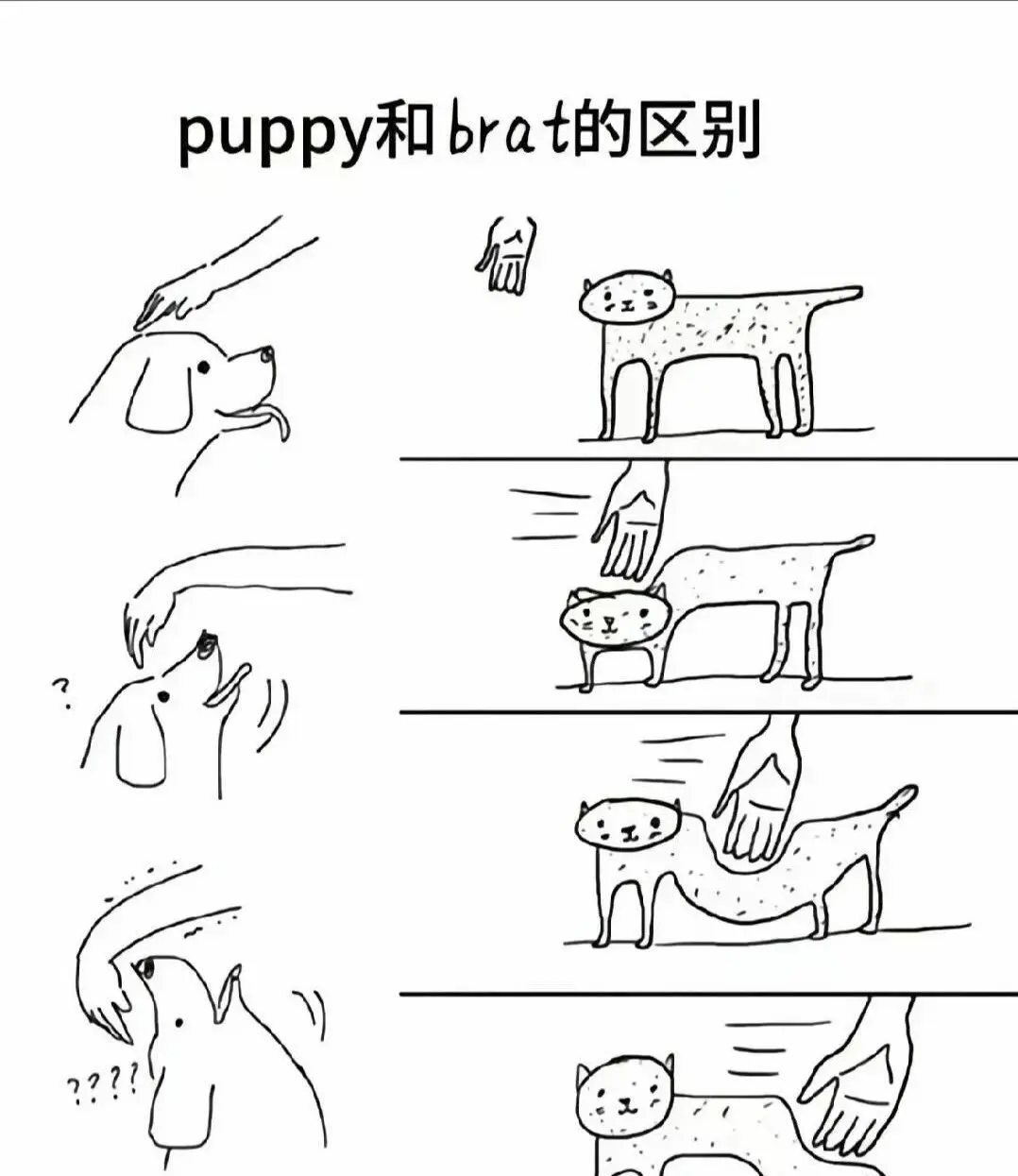 【西檬之家】新人的字母圈BDSM入门指南,从术语解析到安全实践
