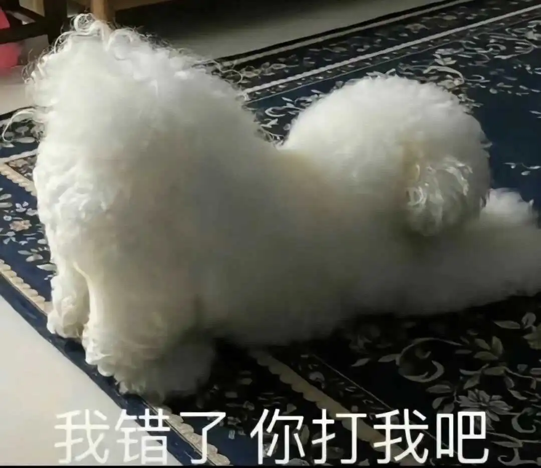 [西檬之家] 字母圈新人如何入圈？BDSM基础知识与SSC原则
