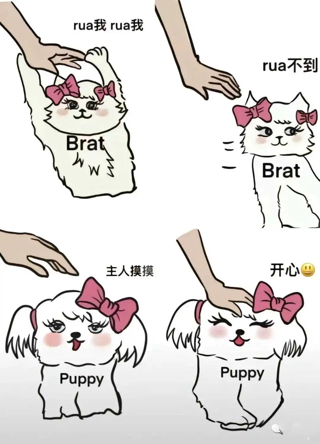 西檬之家-OTK是什么意思？字母圈新人入圈指南