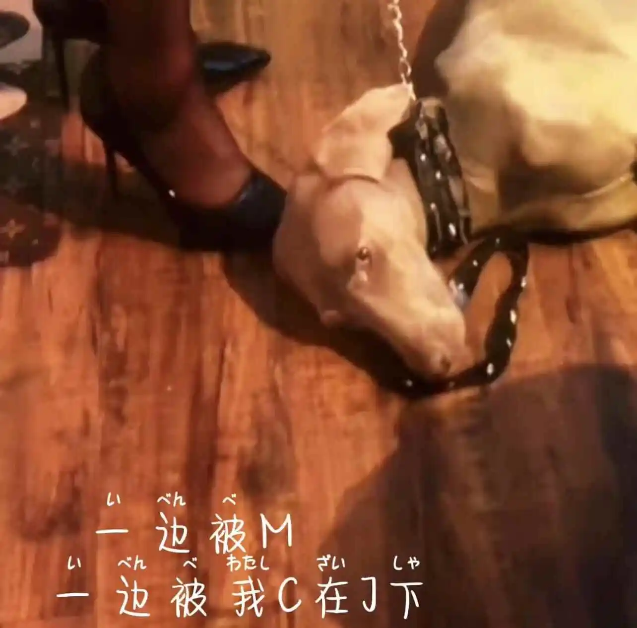 【西檬之家】字母圈新人必读：BDSM管教入门指南
