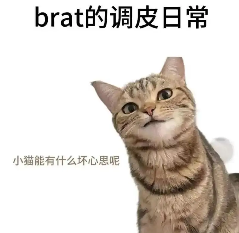 西檬之家-Brat属性是什么？字母圈新人入圈指南