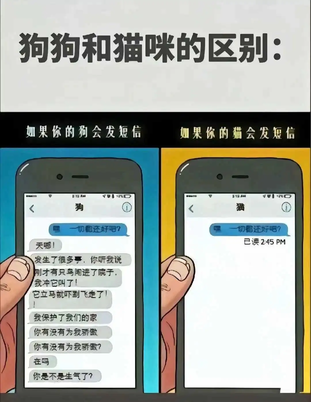 西檬之家-斯慕圈入门指南